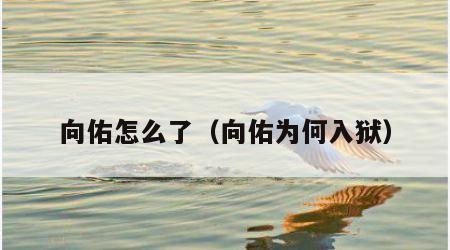 向佑怎么了（向佑为何入狱）