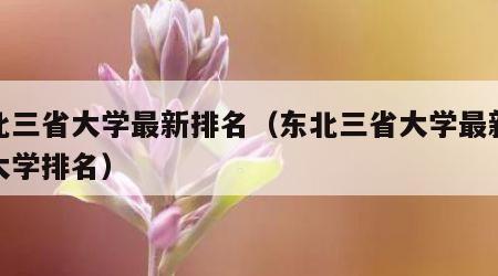 东北三省大学最新排名（东北三省大学最新排名大学排名）