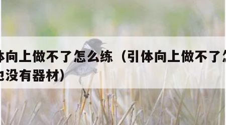 引体向上做不了怎么练（引体向上做不了怎么练也没有器材）