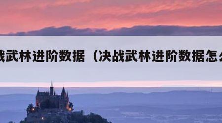 决战武林进阶数据（决战武林进阶数据怎么看）