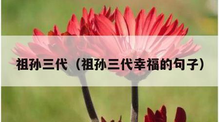 祖孙三代（祖孙三代幸福的句子）