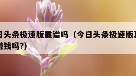 今日头条极速版靠谱吗（今日头条极速版真的能赚钱吗?）