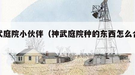 神武庭院小伙伴（神武庭院种的东西怎么合成）