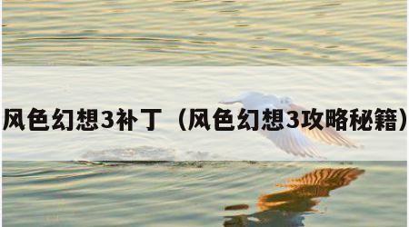 风色幻想3补丁（风色幻想3攻略秘籍）