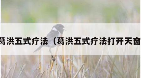 葛洪五式疗法（葛洪五式疗法打开天窗）