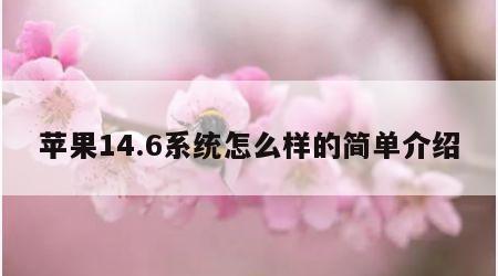 苹果14.6系统怎么样的简单介绍