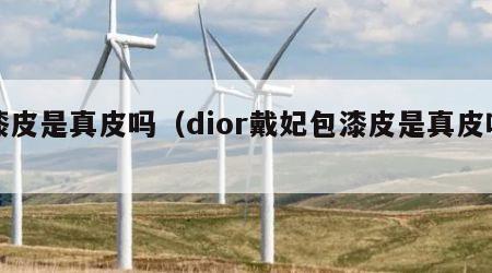 漆皮是真皮吗（dior戴妃包漆皮是真皮吗）