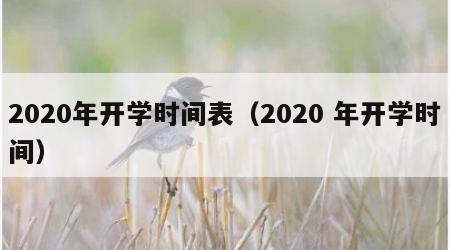 2020年开学时间表（2020 年开学时间）