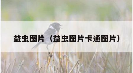 益虫图片（益虫图片卡通图片）