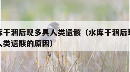 水库干涸后现多具人类遗骸（水库干涸后现多具人类遗骸的原因）