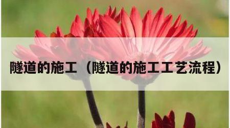 隧道的施工（隧道的施工工艺流程）