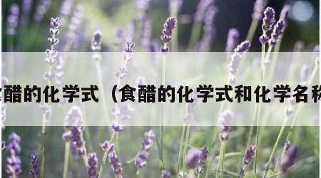 食醋的化学式（食醋的化学式和化学名称）