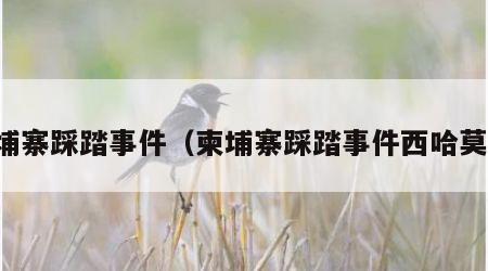 柬埔寨踩踏事件（柬埔寨踩踏事件西哈莫尼）