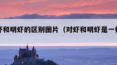 对虾和明虾的区别图片（对虾和明虾是一样的吗）