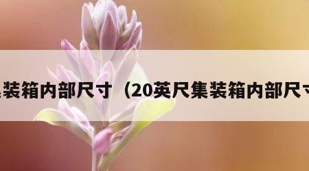 集装箱内部尺寸（20英尺集装箱内部尺寸）