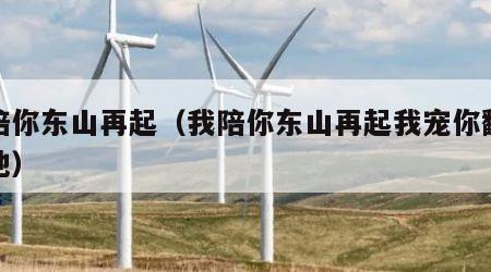 我陪你东山再起（我陪你东山再起我宠你翻天覆地）