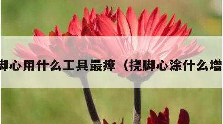挠脚心用什么工具最痒（挠脚心涂什么增痒）