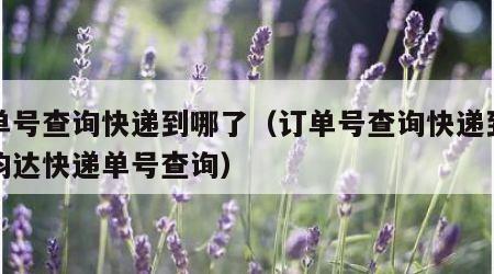 订单号查询快递到哪了（订单号查询快递到哪了韵达快递单号查询）