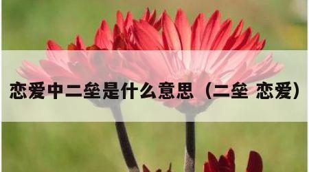 恋爱中二垒是什么意思（二垒 恋爱）