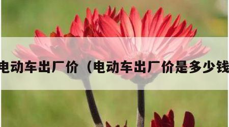 电动车出厂价（电动车出厂价是多少钱）
