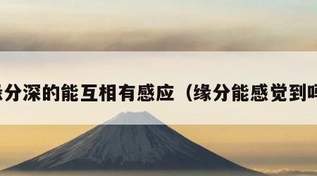 缘分深的能互相有感应（缘分能感觉到吗）
