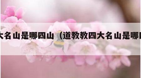 四大名山是哪四山（道教教四大名山是哪四山）