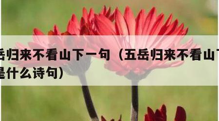 五岳归来不看山下一句（五岳归来不看山下一句是什么诗句）