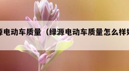 绿源电动车质量（绿源电动车质量怎么样好不好）