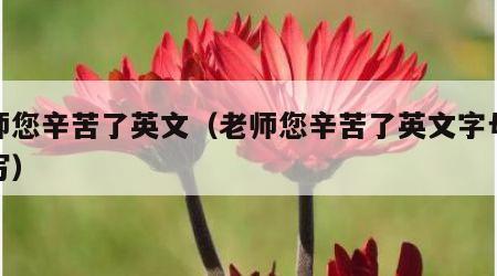 老师您辛苦了英文（老师您辛苦了英文字母怎么写）