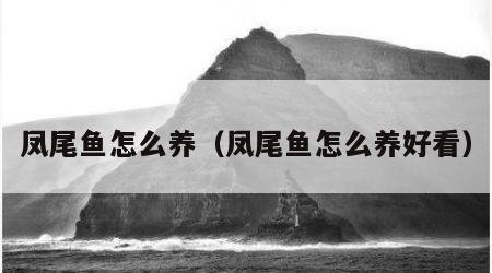凤尾鱼怎么养（凤尾鱼怎么养好看）