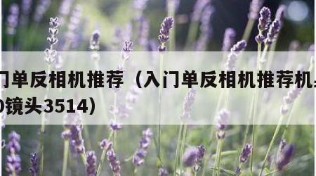 入门单反相机推荐（入门单反相机推荐机身xs10镜头3514）