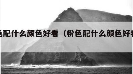 粉色配什么颜色好看（粉色配什么颜色好看衣服）