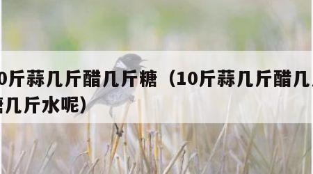 10斤蒜几斤醋几斤糖（10斤蒜几斤醋几斤糖几斤水呢）