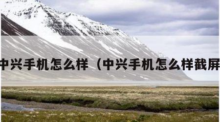 中兴手机怎么样（中兴手机怎么样截屏）