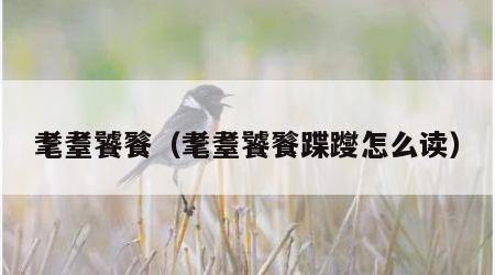 耄耋饕餮（耄耋饕餮蹀躞怎么读）