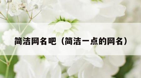 简洁网名吧（简洁一点的网名）