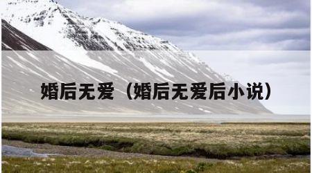 婚后无爱（婚后无爱后小说）
