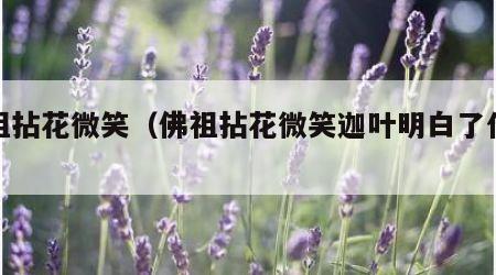 佛祖拈花微笑（佛祖拈花微笑迦叶明白了什么）