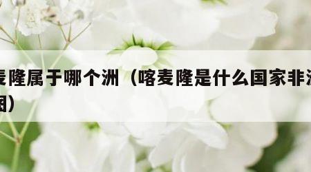 喀麦隆属于哪个洲（喀麦隆是什么国家非洲的地图）