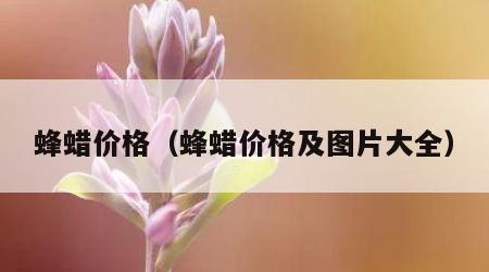 蜂蜡价格（蜂蜡价格及图片大全）