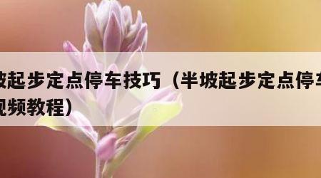 半坡起步定点停车技巧（半坡起步定点停车技巧视频教程）