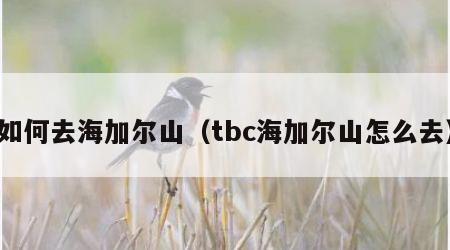 如何去海加尔山（tbc海加尔山怎么去）