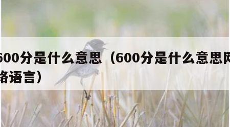 600分是什么意思（600分是什么意思网络语言）