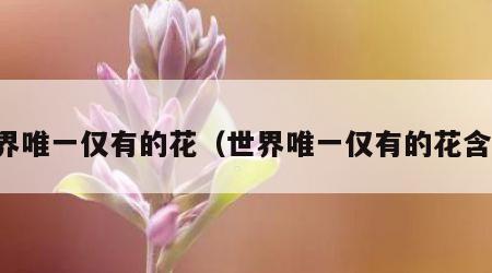 世界唯一仅有的花（世界唯一仅有的花含意）