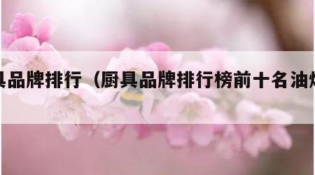 厨具品牌排行（厨具品牌排行榜前十名油烟机）