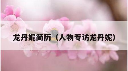 龙丹妮简历（人物专访龙丹妮）