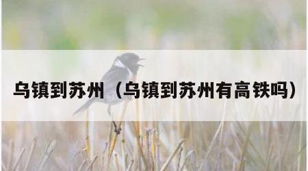 乌镇到苏州（乌镇到苏州有高铁吗）
