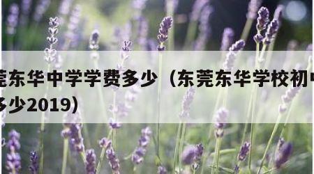 东莞东华中学学费多少（东莞东华学校初中学费多少2019）