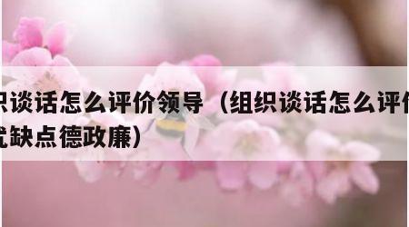 组织谈话怎么评价领导（组织谈话怎么评价领导优缺点德政廉）