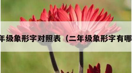 二年级象形字对照表（二年级象形字有哪些）